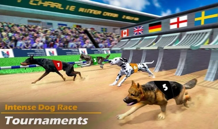 Cách chơi game nhanh Đua Chó Tại 88FC